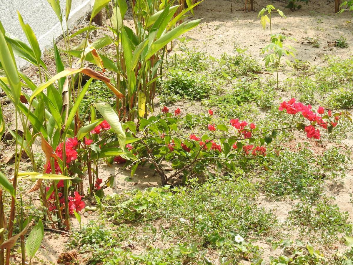 Alleppey Beach Garden Alappuzha Экстерьер фото