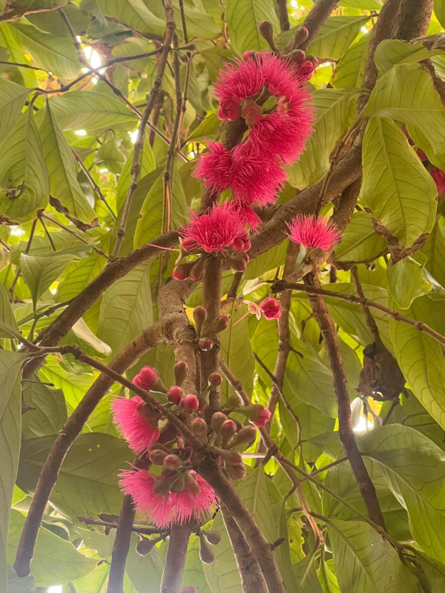 Alleppey Beach Garden Alappuzha Экстерьер фото
